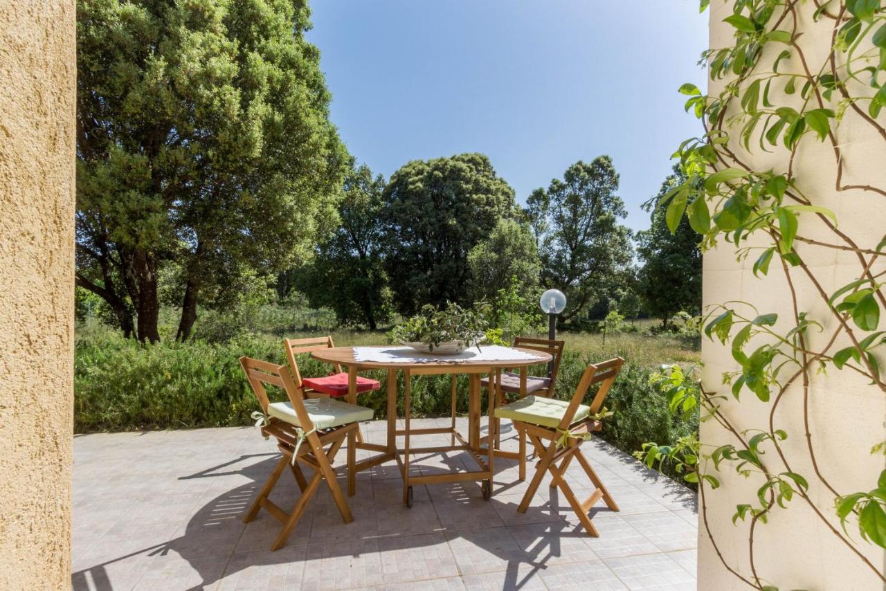 Su Pitiolu - Casa Vacanze Làconi Exteriér fotografie