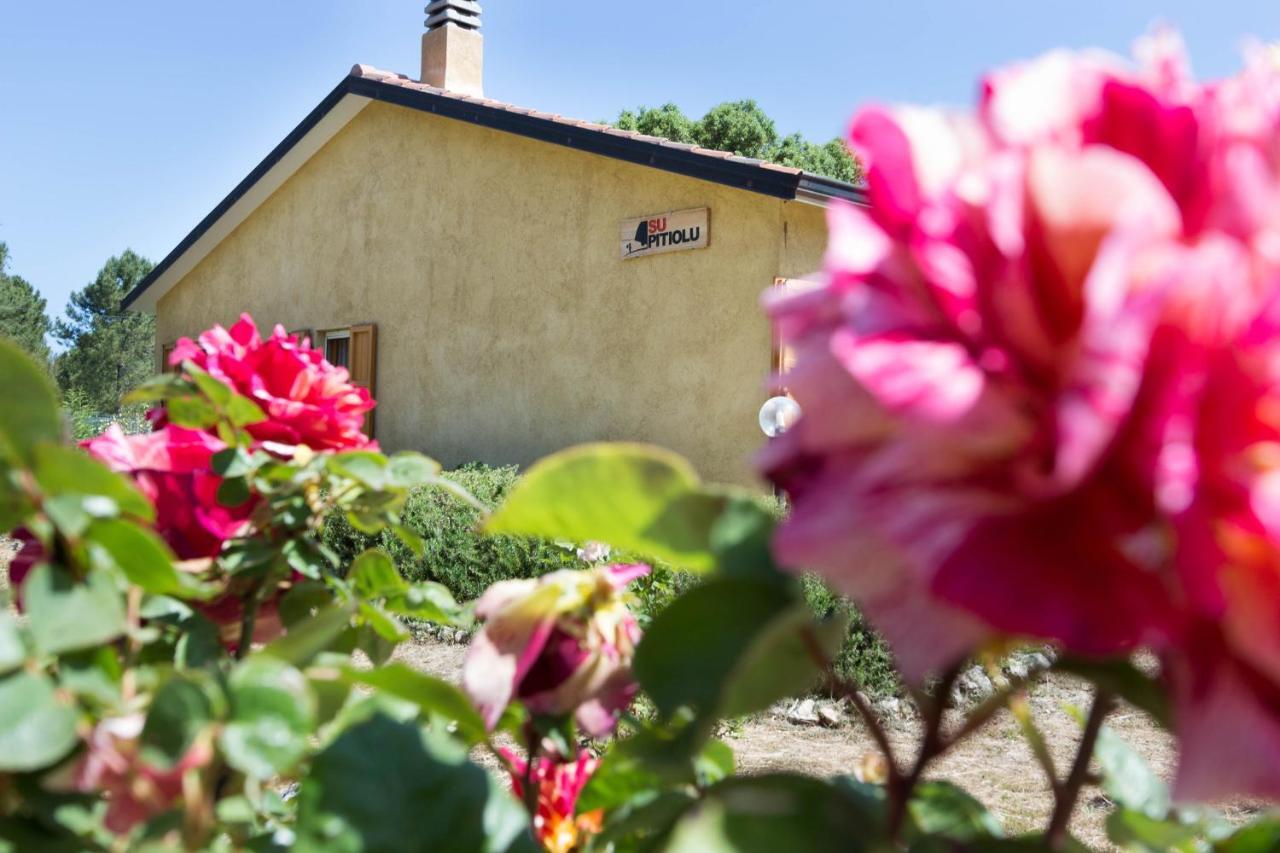 Su Pitiolu - Casa Vacanze Làconi Exteriér fotografie