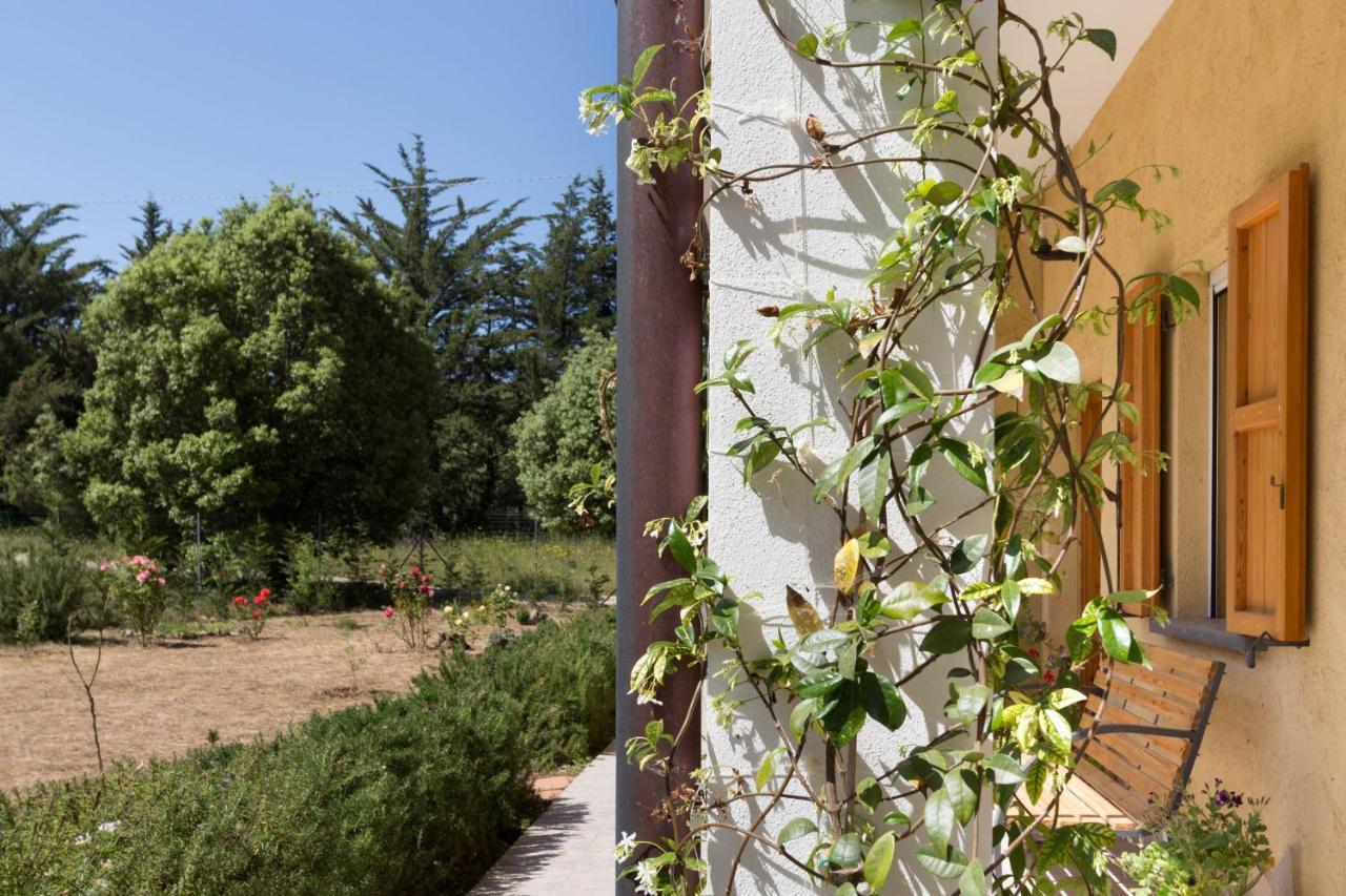 Su Pitiolu - Casa Vacanze Làconi Exteriér fotografie